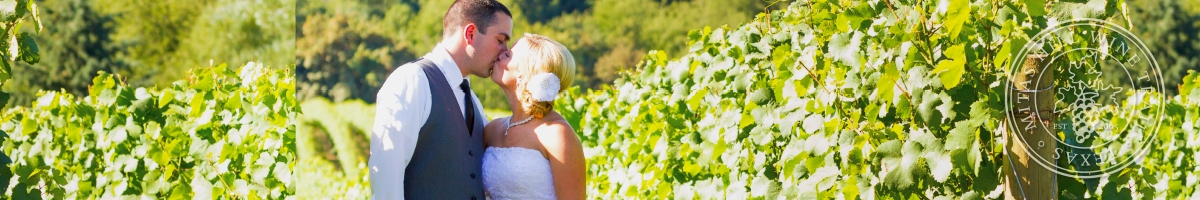 picture of couple in their wedding attire in the vineyard
