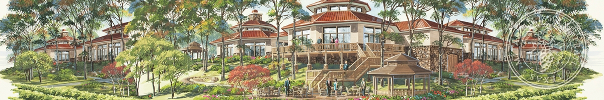 Picture of artist's rendering of Mitas Hill facilities.